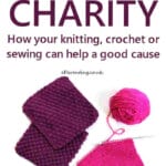 charity_knitting_pin_2